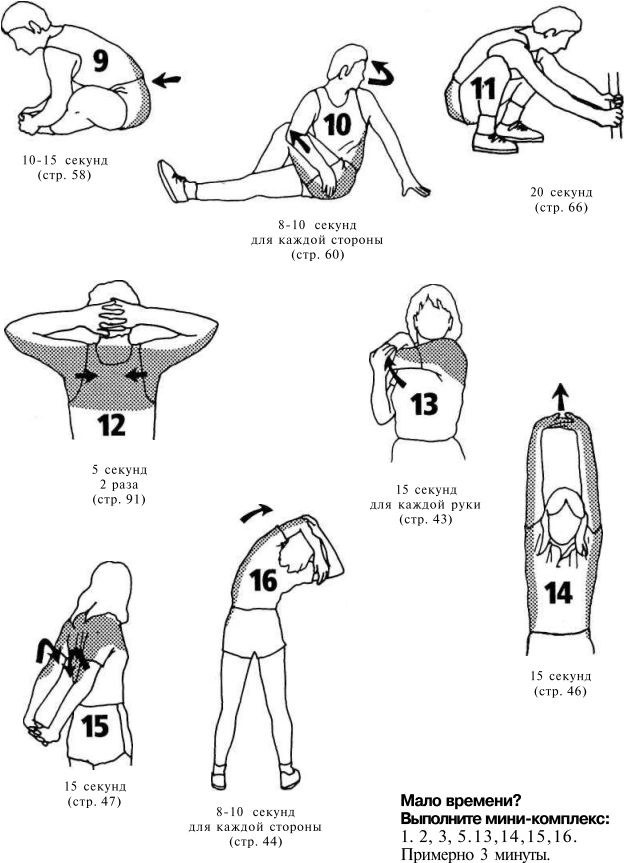 Иллюстрация к книге — Растяжка для каждого [img4174.jpg]