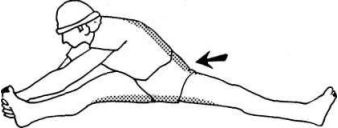 Иллюстрация к книге — Растяжка для каждого [img4be9.jpg]