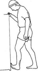 Иллюстрация к книге — Растяжка для каждого [img6938.jpg]