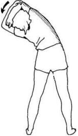 Иллюстрация к книге — Растяжка для каждого [img8d36.jpg]