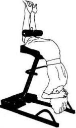 Иллюстрация к книге — Растяжка для каждого [imgad4c.jpg]