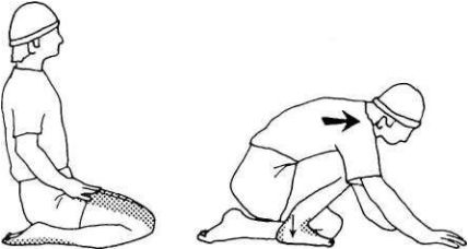 Иллюстрация к книге — Растяжка для каждого [imgdf70.jpg]