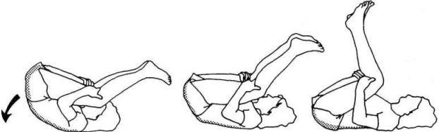 Иллюстрация к книге — Растяжка для каждого [imgf436.jpg]