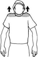 Иллюстрация к книге — Растяжка для каждого [imgf563.jpg]