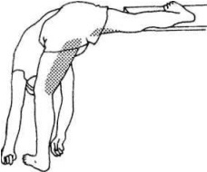 Иллюстрация к книге — Растяжка для каждого [pic20.jpg]