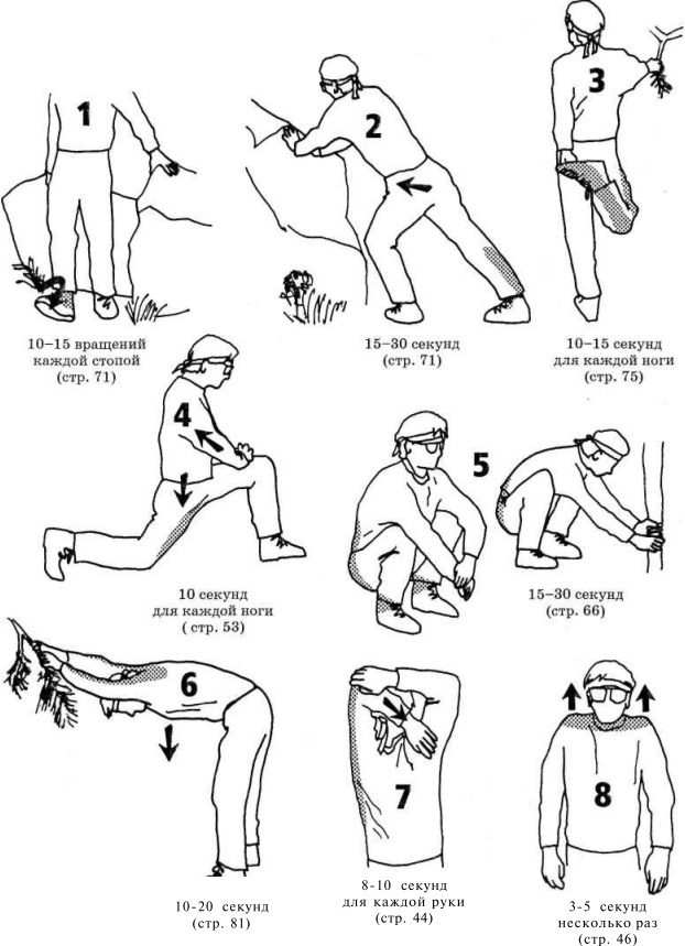 Иллюстрация к книге — Растяжка для каждого [pic44.jpg]