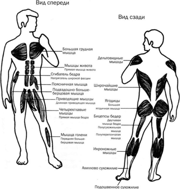Иллюстрация к книге — Ци-бег [img252.jpg]