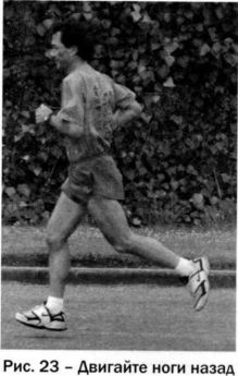 Иллюстрация к книге — Ци-бег [img485a.jpg]