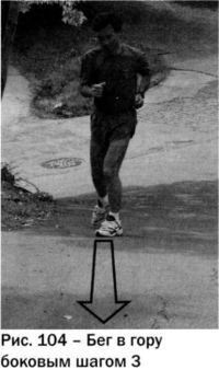 Иллюстрация к книге — Ци-бег [img999.jpg]