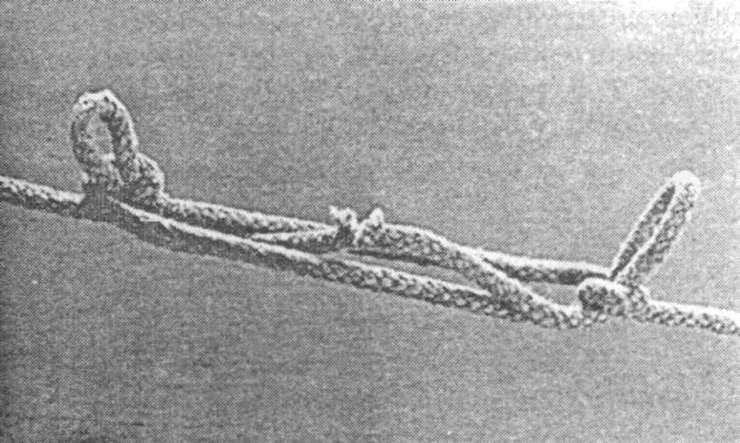 Иллюстрация к книге — Морские узлы в обиходе [pic_51.jpg]