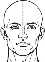 Иллюстрация к книге — Упражнения цигун для начинающих [i_008.jpg]