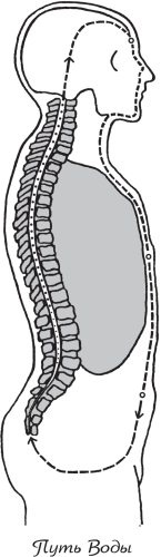 Иллюстрация к книге — Упражнения цигун для начинающих [i_013.jpg]