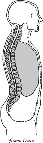 Иллюстрация к книге — Упражнения цигун для начинающих [i_014.jpg]