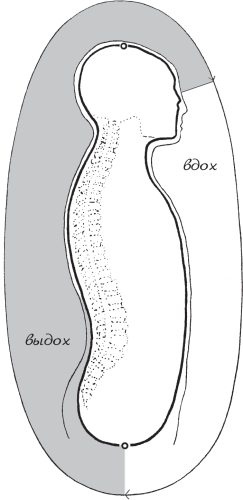 Иллюстрация к книге — Упражнения цигун для начинающих [i_016.jpg]