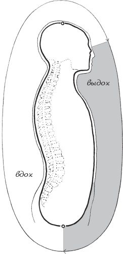 Иллюстрация к книге — Упражнения цигун для начинающих [i_017.jpg]
