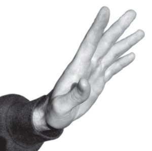 Иллюстрация к книге — Упражнения цигун для начинающих [i_024.jpg]