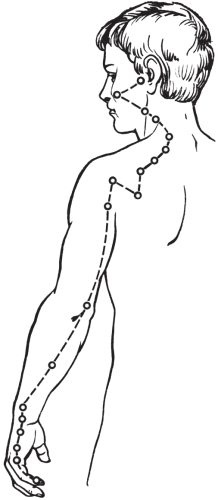 Иллюстрация к книге — Упражнения цигун для начинающих [i_031.jpg]