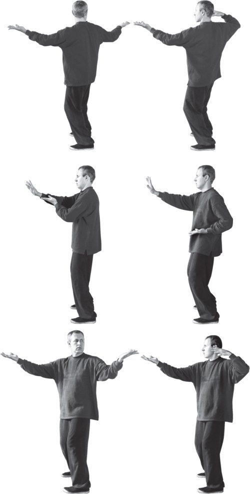 Иллюстрация к книге — Упражнения цигун для начинающих [i_032.jpg]