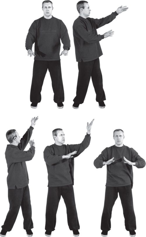 Иллюстрация к книге — Упражнения цигун для начинающих [i_035.jpg]