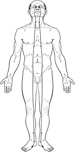 Иллюстрация к книге — Упражнения цигун для начинающих [i_049.jpg]