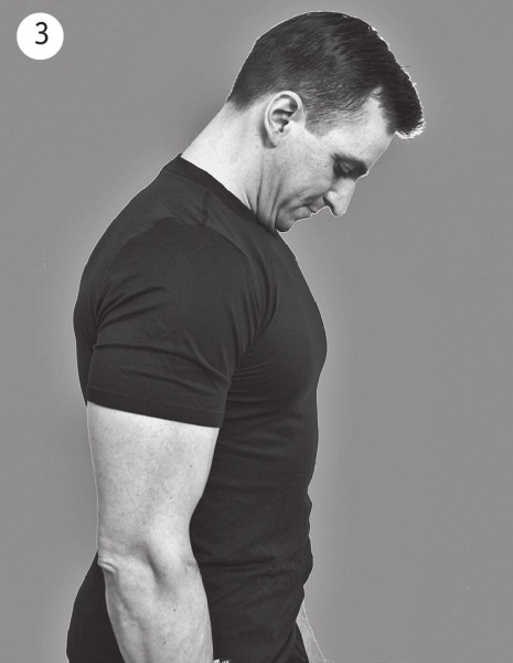 Иллюстрация к книге — 5 минут изометрических упражнений для тех, кто не отрывает попы от стула [autogen_ebook_id17.jpg]