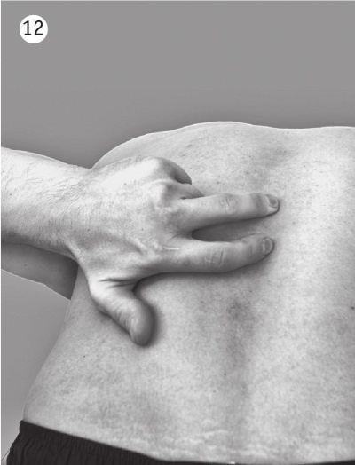 Иллюстрация к книге — 5 минут изометрических упражнений для тех, кто не отрывает попы от стула [autogen_ebook_id27.jpg]