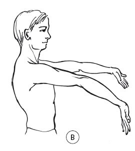 Иллюстрация к книге — 5 минут изометрических упражнений для тех, кто не отрывает попы от стула [autogen_ebook_id30.jpg]