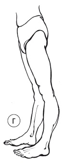 Иллюстрация к книге — 5 минут изометрических упражнений для тех, кто не отрывает попы от стула [autogen_ebook_id31.jpg]