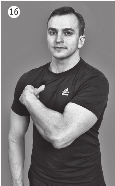 Иллюстрация к книге — 5 минут изометрических упражнений для тех, кто не отрывает попы от стула [autogen_ebook_id37.jpg]