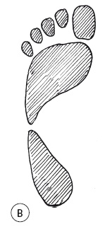 Иллюстрация к книге — 5 минут изометрических упражнений для тех, кто не отрывает попы от стула [autogen_ebook_id44.jpg]