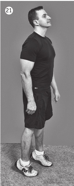 Иллюстрация к книге — 5 минут изометрических упражнений для тех, кто не отрывает попы от стула [autogen_ebook_id45.jpg]