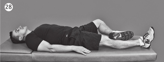 Иллюстрация к книге — 5 минут изометрических упражнений для тех, кто не отрывает попы от стула [autogen_ebook_id53.jpg]