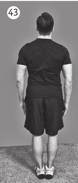 Иллюстрация к книге — 5 минут изометрических упражнений для тех, кто не отрывает попы от стула [autogen_ebook_id68.jpg]