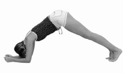 Иллюстрация к книге — Идеальная попка. Антикризисная программа на месяц [i_009.jpg]