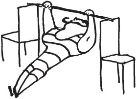 Иллюстрация к книге — Уникальная система изометрических упражнений Железного Самсона [autogen_ebook_id157.jpg]