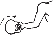 Иллюстрация к книге — Уникальная система изометрических упражнений Железного Самсона [autogen_ebook_id231.jpg]