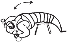 Иллюстрация к книге — Уникальная система изометрических упражнений Железного Самсона [autogen_ebook_id26.jpg]