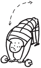 Иллюстрация к книге — Уникальная система изометрических упражнений Железного Самсона [autogen_ebook_id307.jpg]