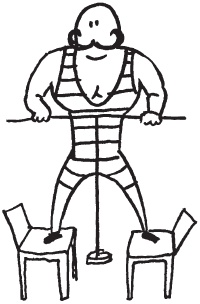 Иллюстрация к книге — Уникальная система изометрических упражнений Железного Самсона [autogen_ebook_id311.jpg]