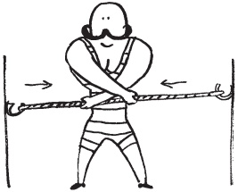 Иллюстрация к книге — Уникальная система изометрических упражнений Железного Самсона [autogen_ebook_id4.jpg]