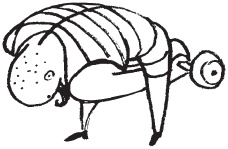 Иллюстрация к книге — Уникальная система изометрических упражнений Железного Самсона [autogen_ebook_id6.jpg]