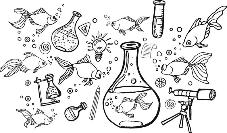 Иллюстрация к книге — Четырнадцатая золотая рыбка [i_002.jpg]