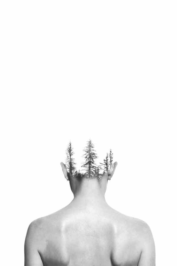 Иллюстрация к книге — The Question. Человек и здоровье [_03.jpg]