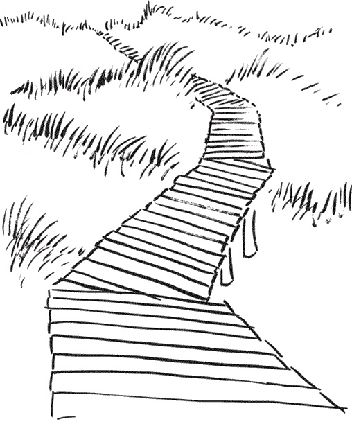 Иллюстрация к книге — Практика радости. Как ходить осознанно [i_002.jpg]