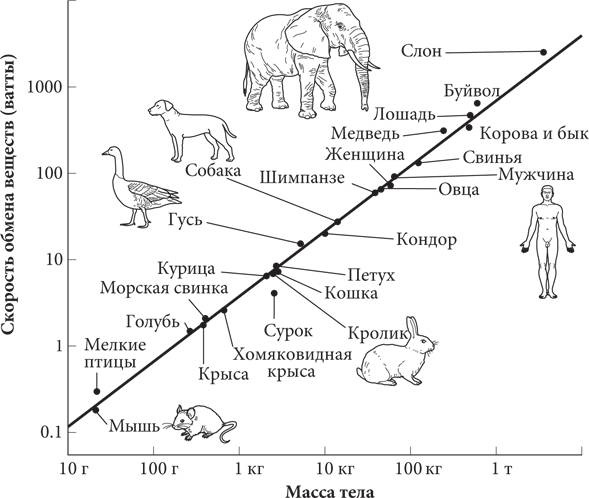 Иллюстрация к книге — Красота в квадрате. Как цифры отражают жизнь и жизнь отражает цифры [i_051.jpg]