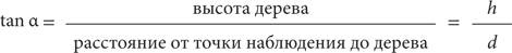 Иллюстрация к книге — Красота в квадрате. Как цифры отражают жизнь и жизнь отражает цифры [i_089.jpg]