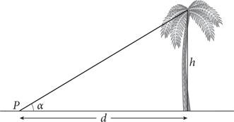 Иллюстрация к книге — Красота в квадрате. Как цифры отражают жизнь и жизнь отражает цифры [i_090.jpg]