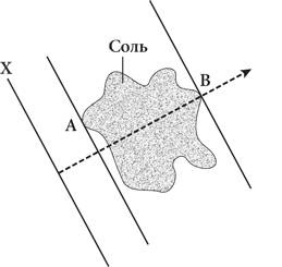Иллюстрация к книге — Красота в квадрате. Как цифры отражают жизнь и жизнь отражает цифры [i_333.jpg]