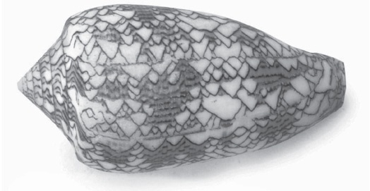 Иллюстрация к книге — Красота в квадрате. Как цифры отражают жизнь и жизнь отражает цифры [i_360.jpg]