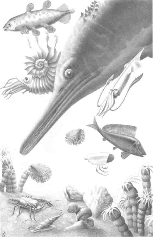 Иллюстрация к книге — Парнокопытные киты, четырехкрылые динозавры, бегающие черви... Новая палеонтология. Реальность, которая удивительнее фантазий [i_038.jpg]